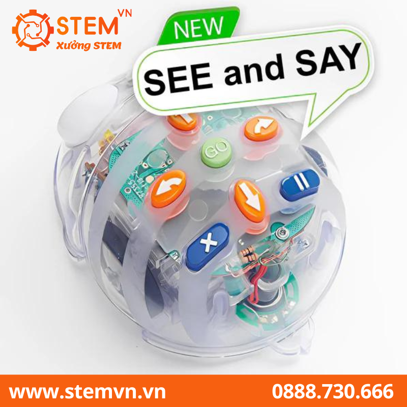 Blue-Bot Robot giáo dục STEM cho lứa tuổi mầm non