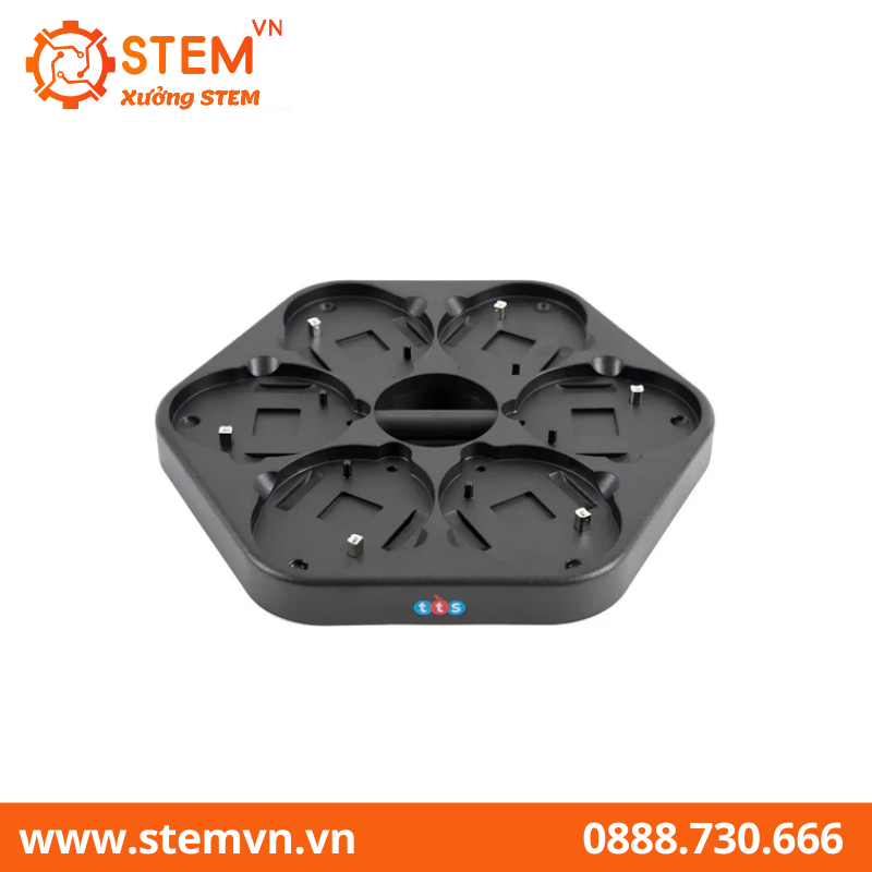 TTS 6 Bee-Bot Programmable Robots with Docking Station, Wooden Tunnels & FREE 10-pcs Clip on Shells White - STEM Learning Coding Robotics for Kids Age 3+