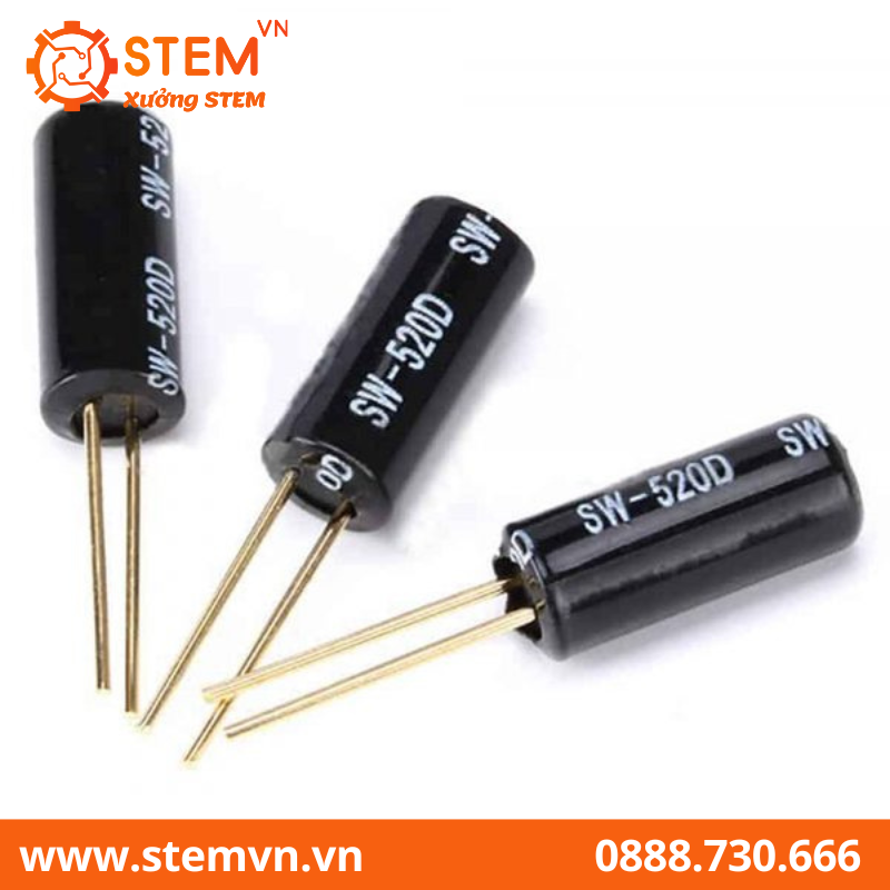 Cảm Biến Rung Lò Xo