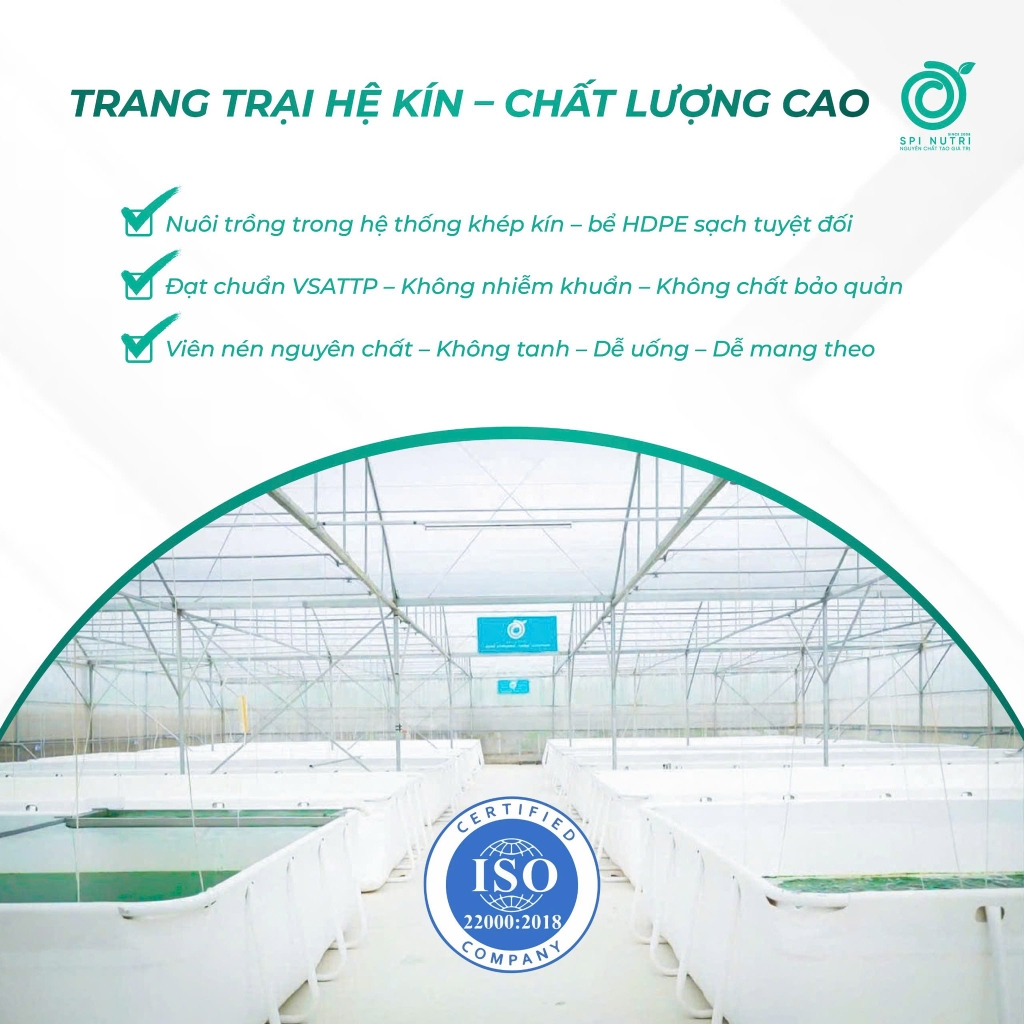 COMBO MUA 3 TẶNG 1 NGŨ CỐC TẢO XOẮN SPINUTRI 400G