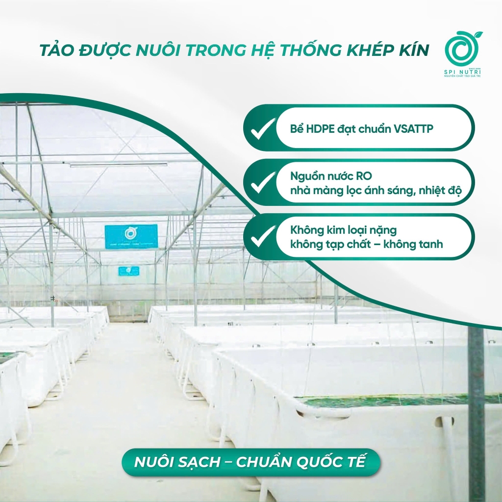 COMBO MUA 3 TẶNG 1 NGŨ CỐC TẢO XOẮN SPINUTRI 400G