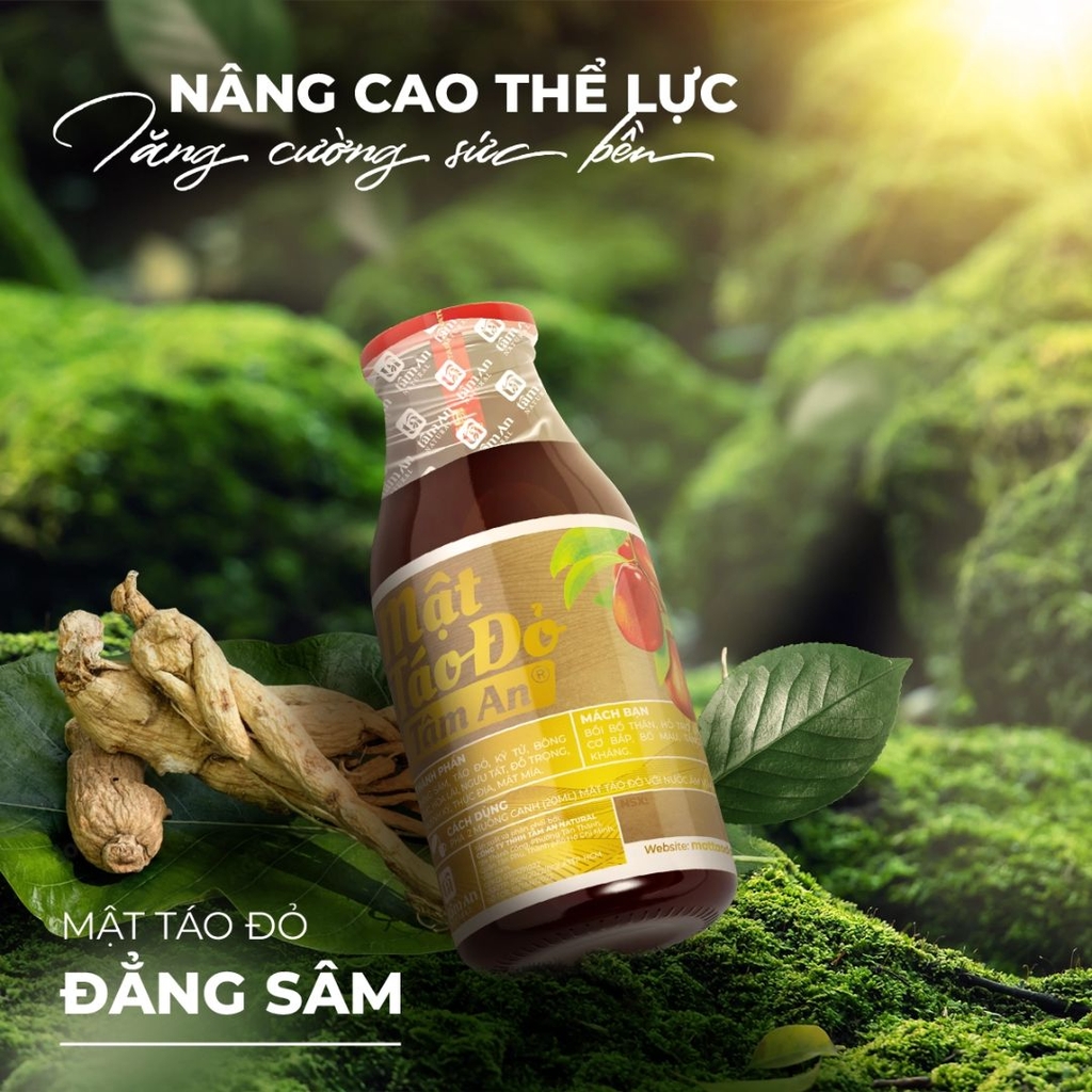 Mật Táo Đỏ Đẳng Sâm Tâm An - Bổ Thận, Mạnh Gân Khớp