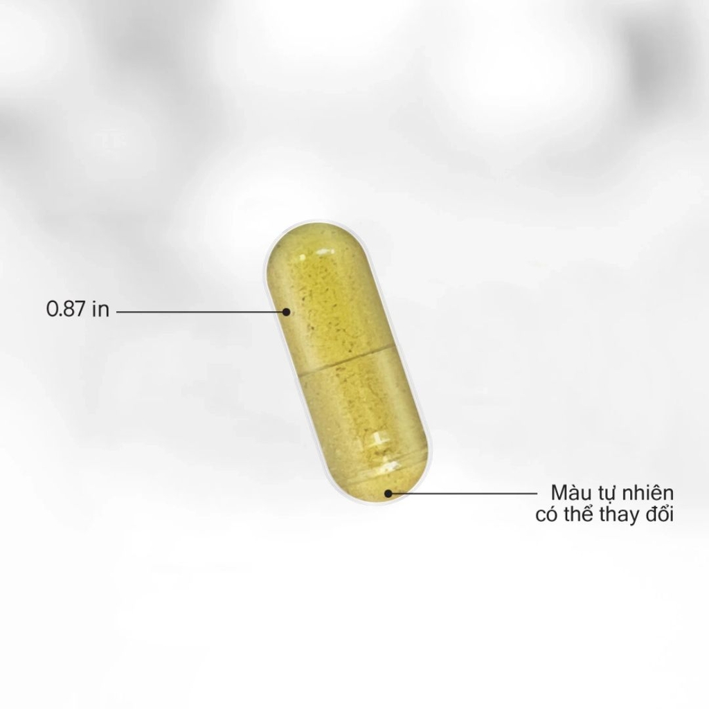 Viên Uống Chống Nắng CODEAGE Polyphenols Broad Spectrum
