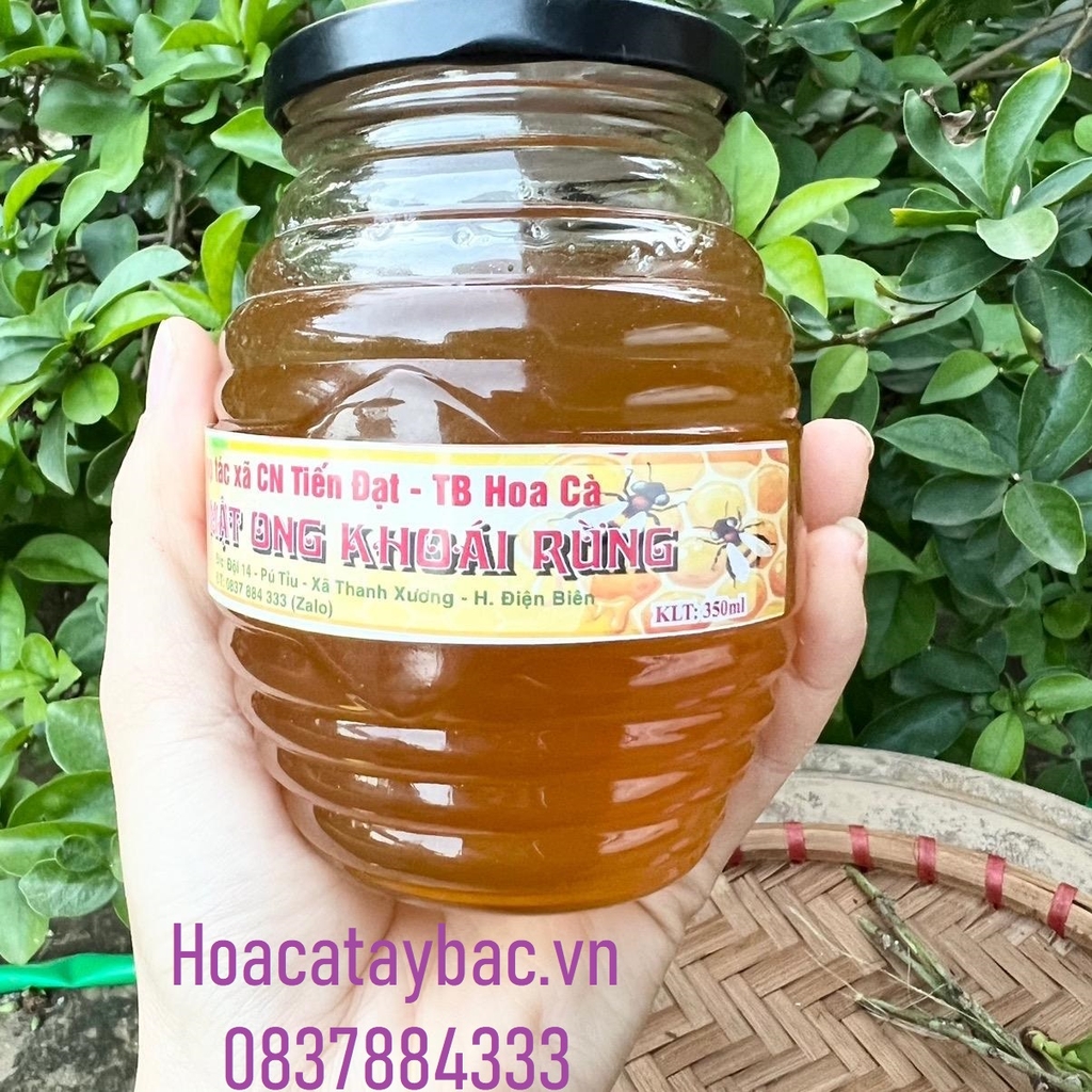 Mật Ong Khoái Rừng 1Lít (1,3Kg)