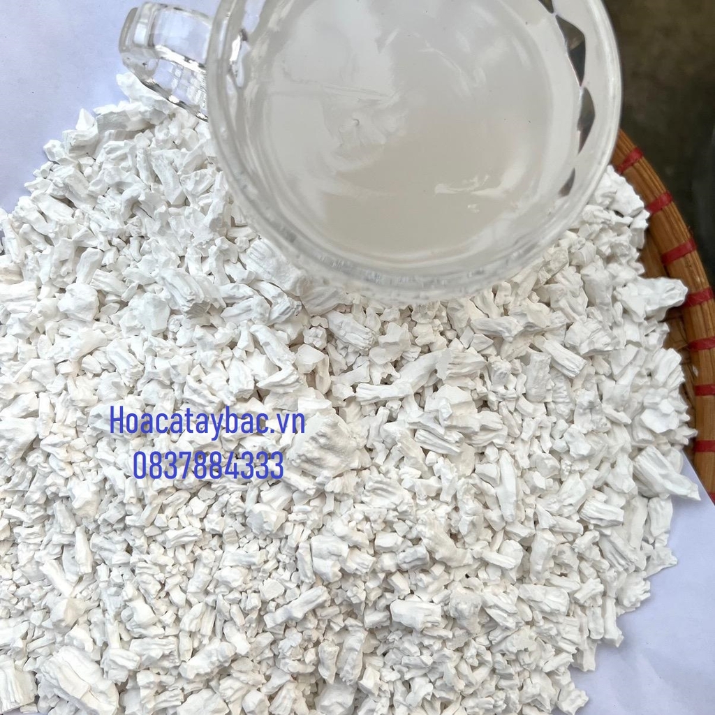 Tinh Bột Sắn Dây