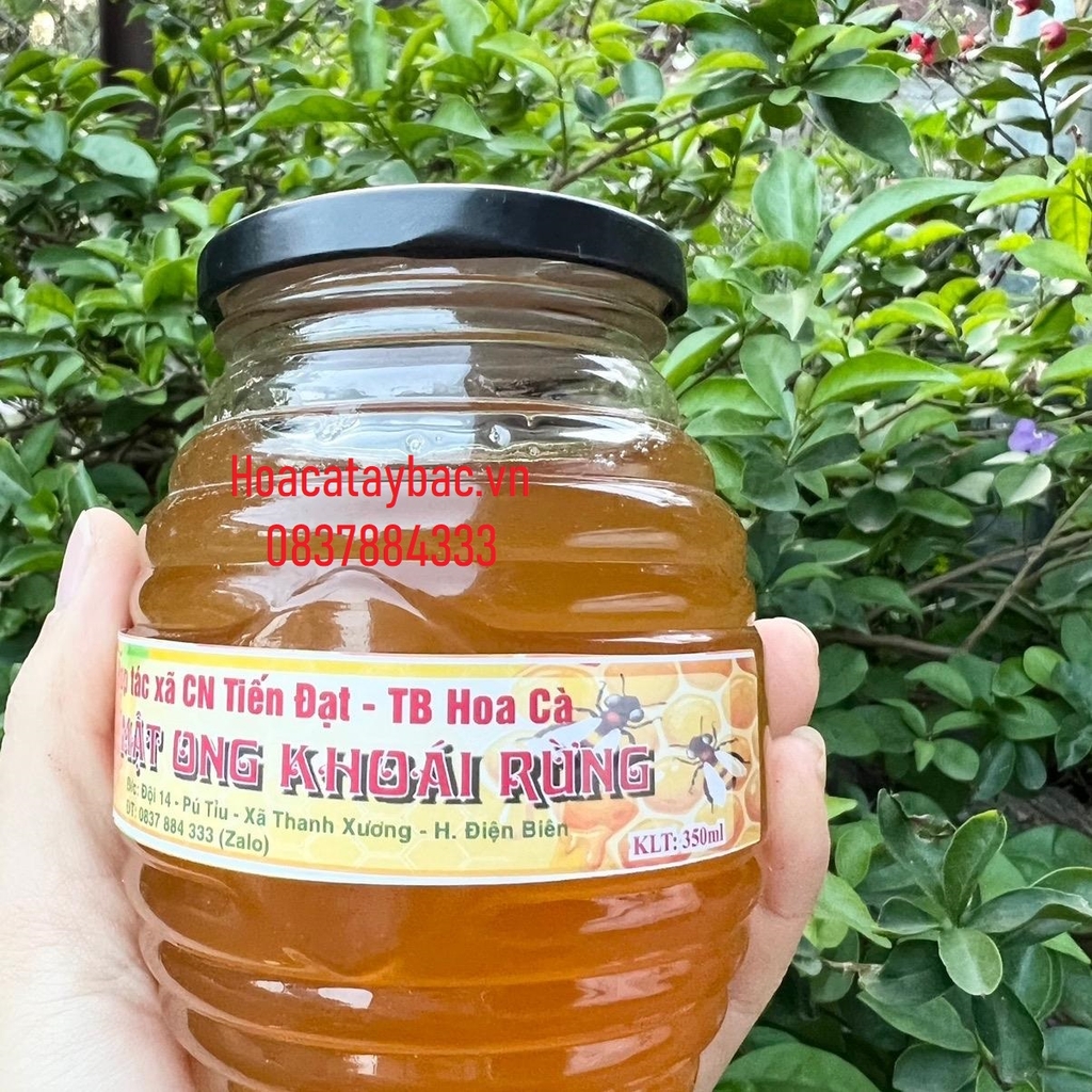 Mật Ong Khoái Rừng 1Lít (1,3Kg)