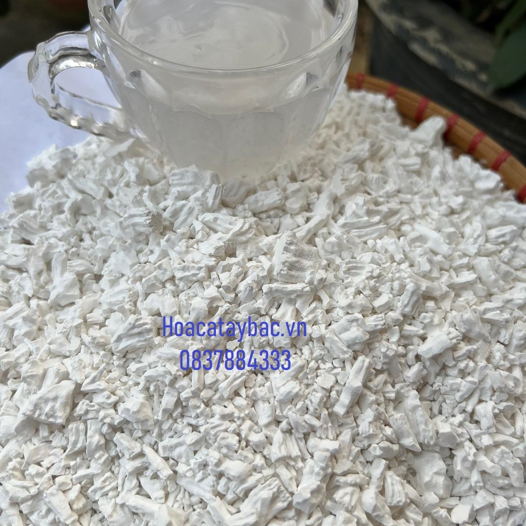 Tinh Bột Sắn Dây