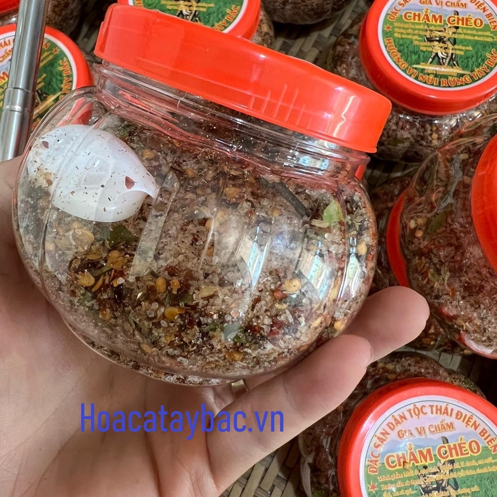Chẩm Chéo Tây Bắc - Hoa Cà TB