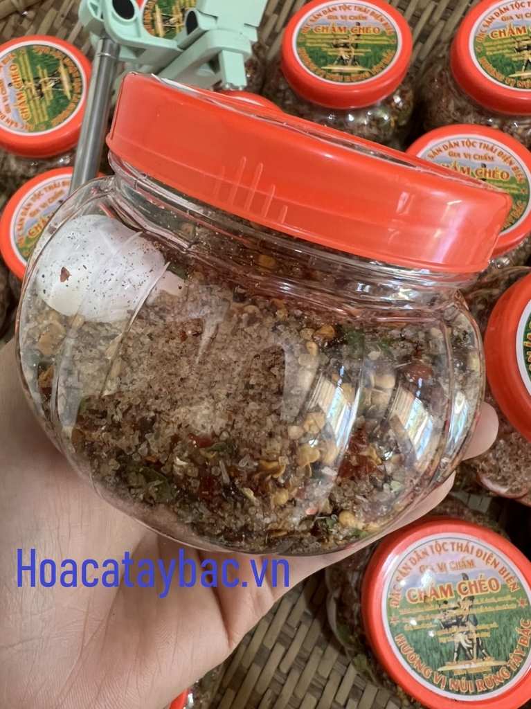 Chẩm Chéo Tây Bắc - Hoa Cà TB