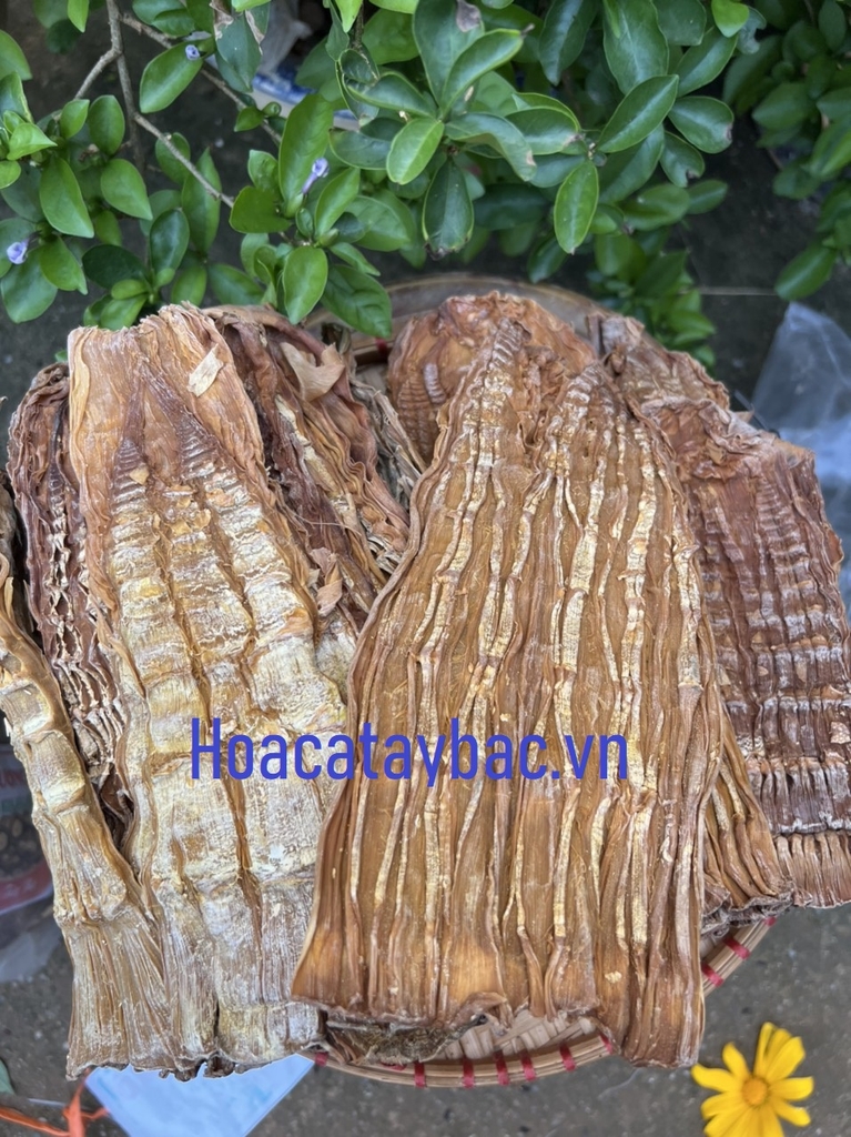 Măng Rừng Tây Bắc 1Kg
