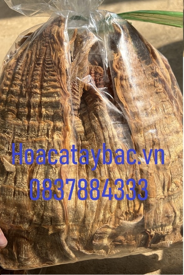 Măng Rừng Tây Bắc 1Kg