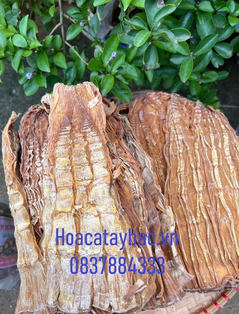 Măng Rừng Tây Bắc 1Kg
