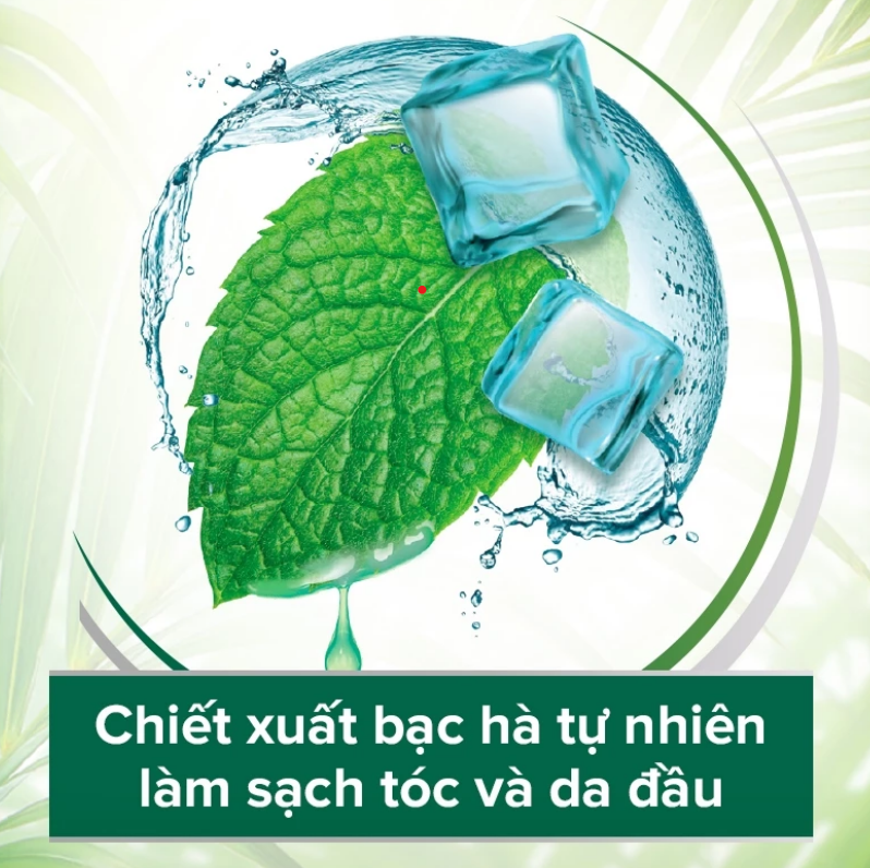 Bộ 2 Dầu gội Palmolive kèm xả 2-trong-1 chiết xuất thiên nhiên 600ML - Dầu Bạc hà