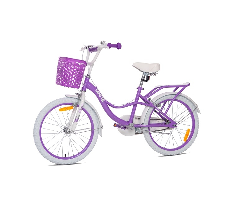 Xe đạp trẻ em Thống Nhất Kitten TE20 (Dành cho bé từ 5 đến 10 tuổi)