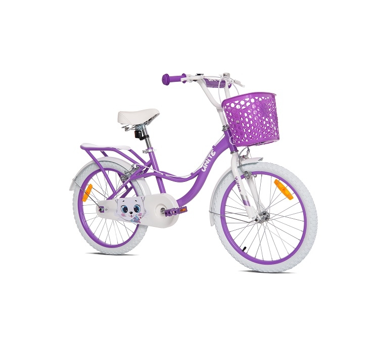 Xe đạp trẻ em Thống Nhất Kitten TE20 (Dành cho bé từ 5 đến 10 tuổi)