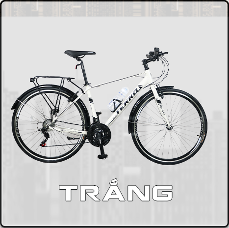 Xe đạp Tekko thể thao City C300 Khung nhôm cao cấp - Phù hợp với người cao từ 1m45 trở lên