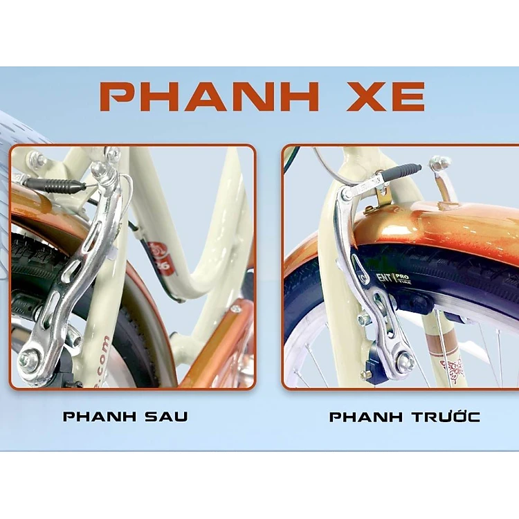 Xe đạp Tekko C200 – kích cỡ 20 và 24 inch - Xe đạp học sinh - Phù hợp với người cao từ 1m10 đến 1m60