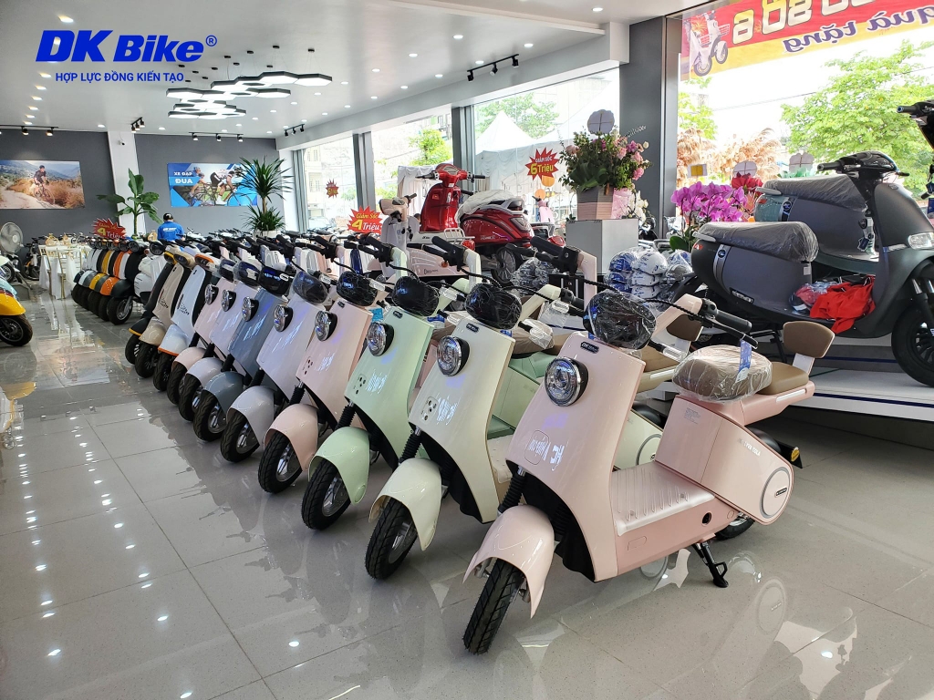 Xe đạp điện DK Lyva Cola