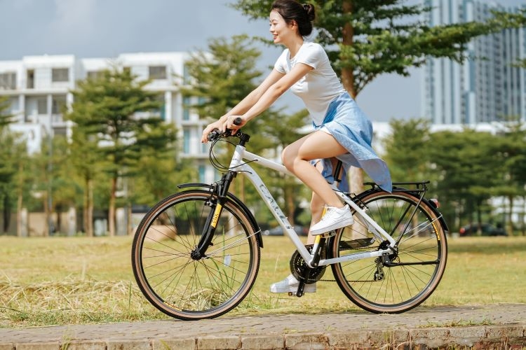 Xe đạp thể thao Calli H3000 Khung nhôm, tem phản quang