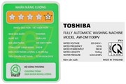 Máy giặt Toshiba Inverter 10 kg AW-DM1100PV(KK)