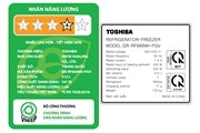 Tủ lạnh Toshiba Inverter 515 lít GR-RF669WI-PGV(A9)-BG