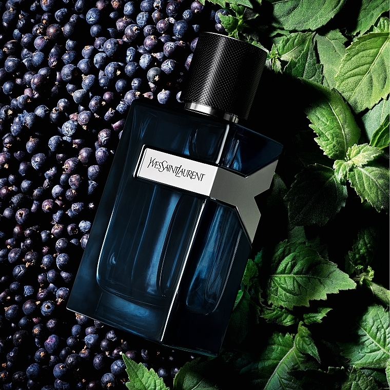 Nước Hoa Yves Saint Laurent Y EDP 100ml