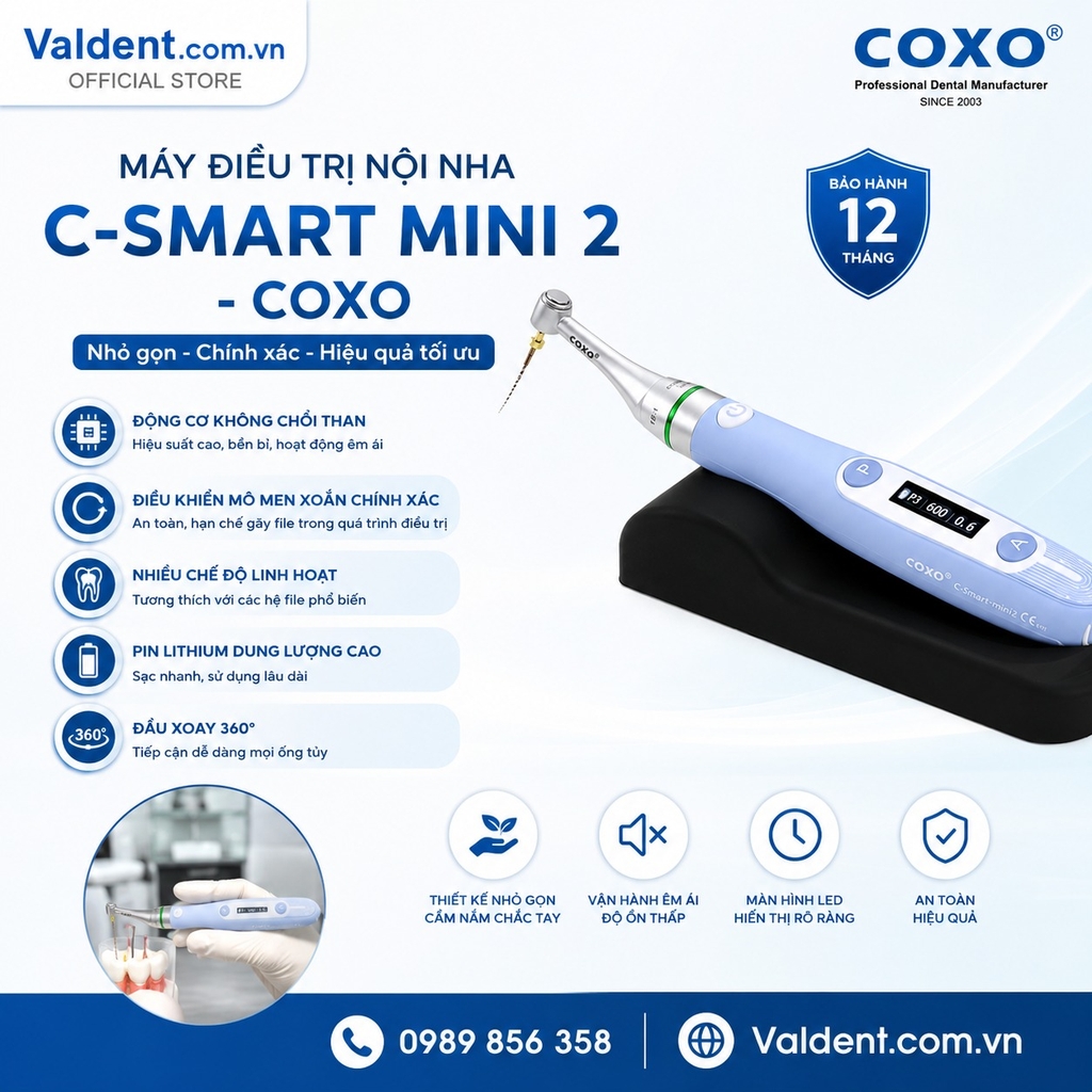 Máy nội nha không dây Coxo C-Smart Mini 2
