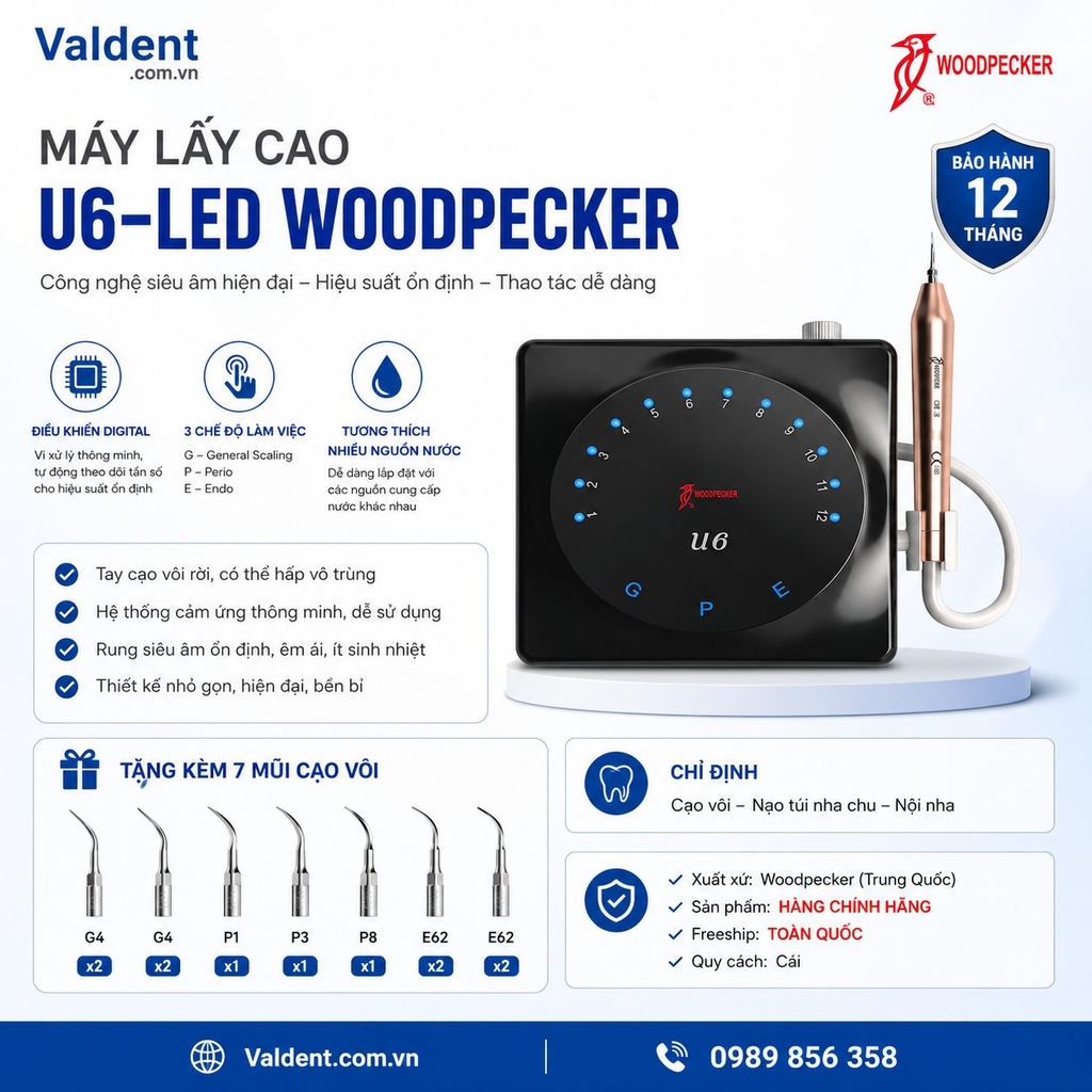 Máy lấy cao U6-Led Woodpecker