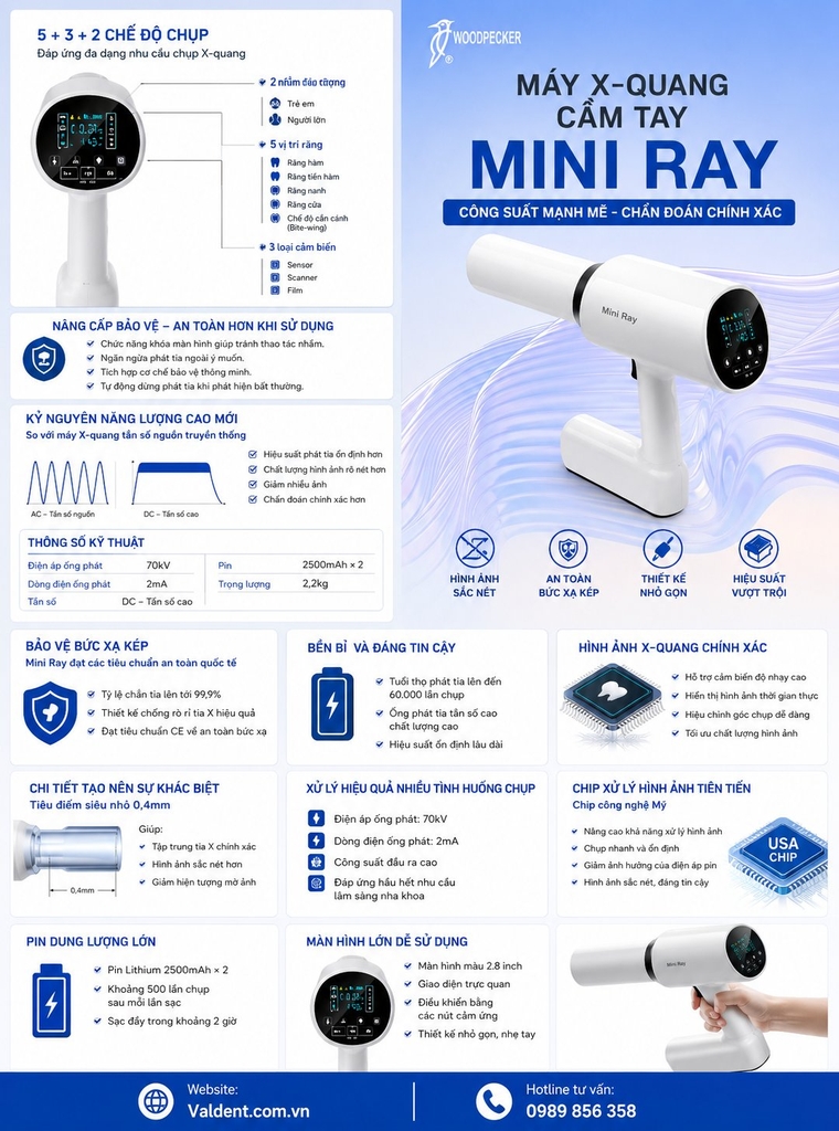X-Quang Mini Ray Woodpecker