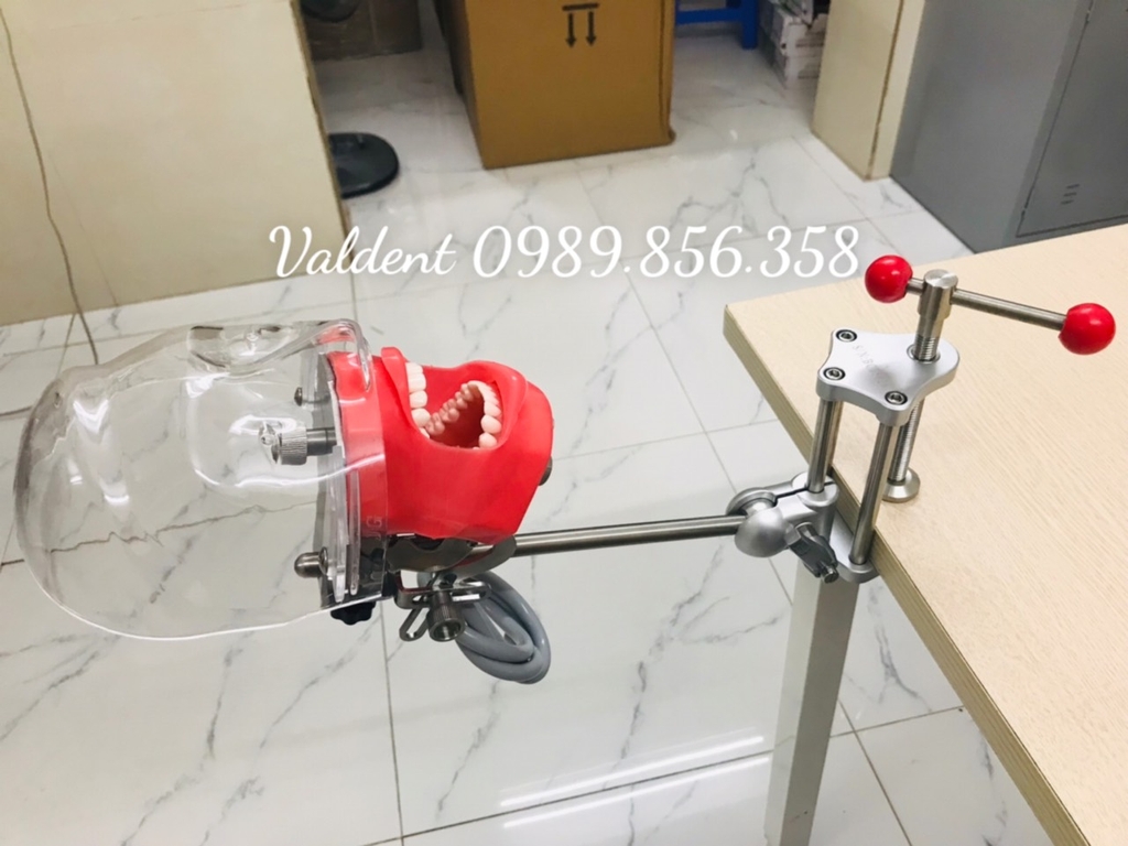 Mô hình thực hành nha khoa gắn bàn - Đầu Phantom thực hành nha khoa
