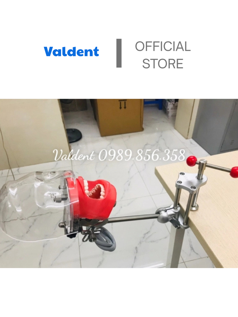 Mô hình phantom đào tạo thực hành gắn bàn [ chất liệu inox ]