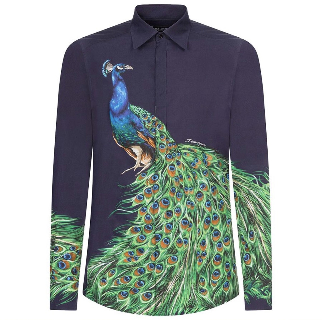 Dolce & Gabbana Men's Blue Peacock-Print Cotton Gold-Fit Shirt Đông Vũ  Authentic