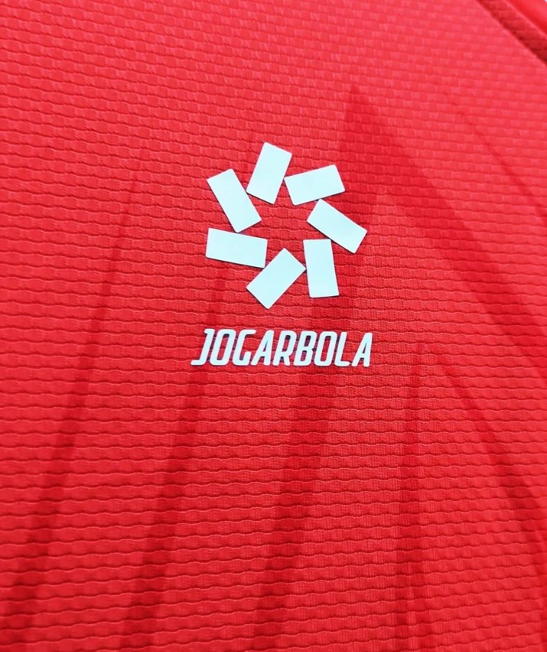 Bộ đội  Đội tuyển Viêt Nam 2024 ( Bản Fan)