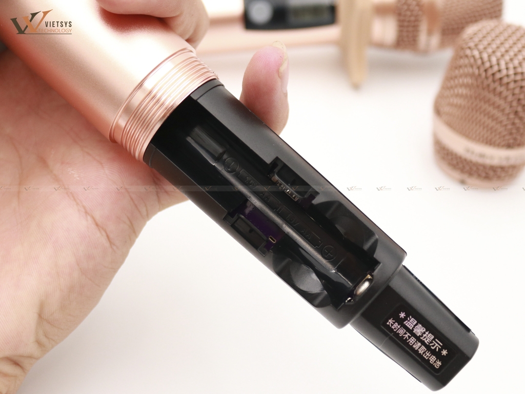 Micro không dây BAIER BS790A