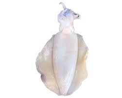 Mực lá làm sạch ( 4- 6 lạng/con) (kg)