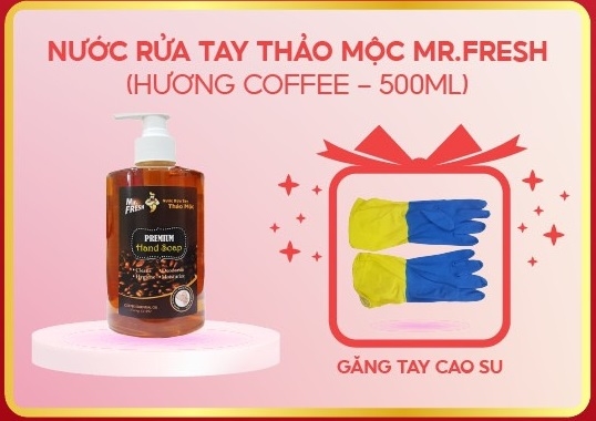 Nước Rửa Tay Dưỡng Ẩm Mr.Fresh 500Ml Hương Táo/Trà Xanh/Cam Quế/Chanh Xả/Coffee Tặng Găng Tay Cao Su (Chai)