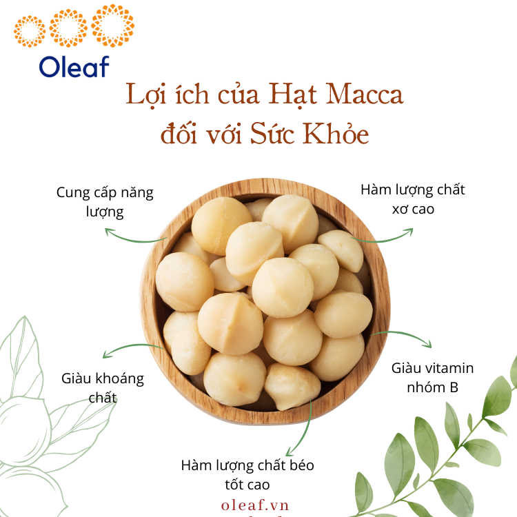 Nhân Hạt Macca OLEAF Macca Lâm Đồng Chất Lượng Tốt Loại 1 - Giòn Thơm Không Hôi Dầu - Hạt Dinh Dưỡng