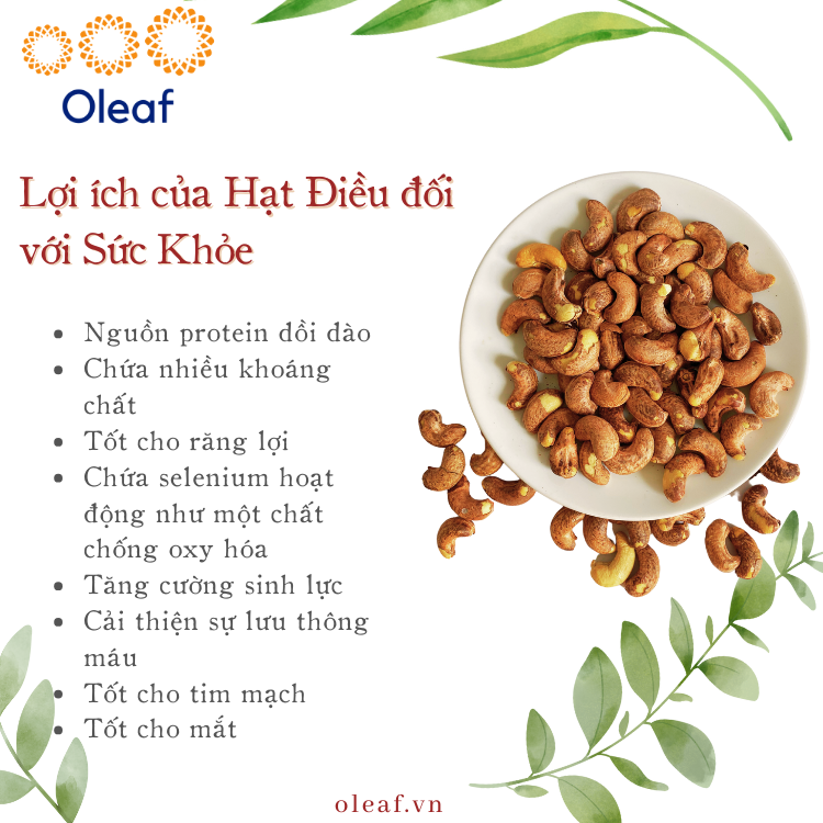 Hạt Điều Rang Mộc Size W240 Bình Phước Chất Lượng Loại 1 - Giòn Thơm Không Hôi Dầu OLEAF