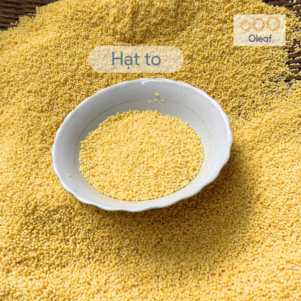 Hạt Kê Nếp Vàng Nghệ An Đã Tách Vỏ, Sạch Sạn, Non GMO, Dẻo Thơm Đặc Biệt (Hạt Nhỏ/Hạt to) - OLEAF Hạt Dinh Dưỡng