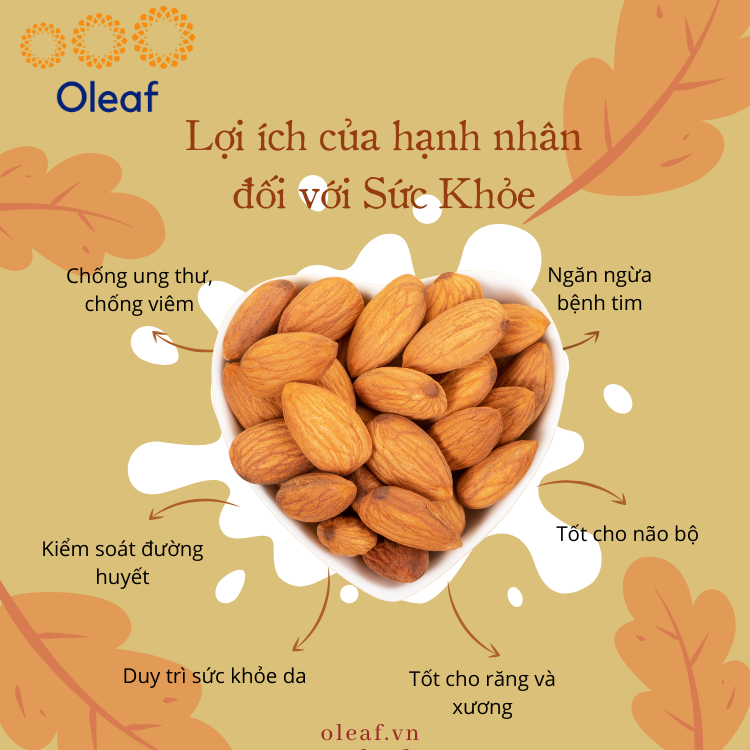 Hạnh Nhân Nguyên Vị Không Muối Nhập Khẩu Từ Mỹ, Hạt Dinh Dưỡng OLEAF, Giá SỈ VÀ LẺ