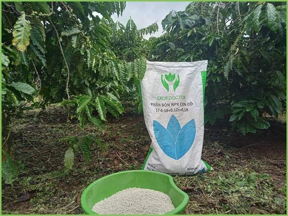 Crop Doctor NPK Con Cò 17-6-18