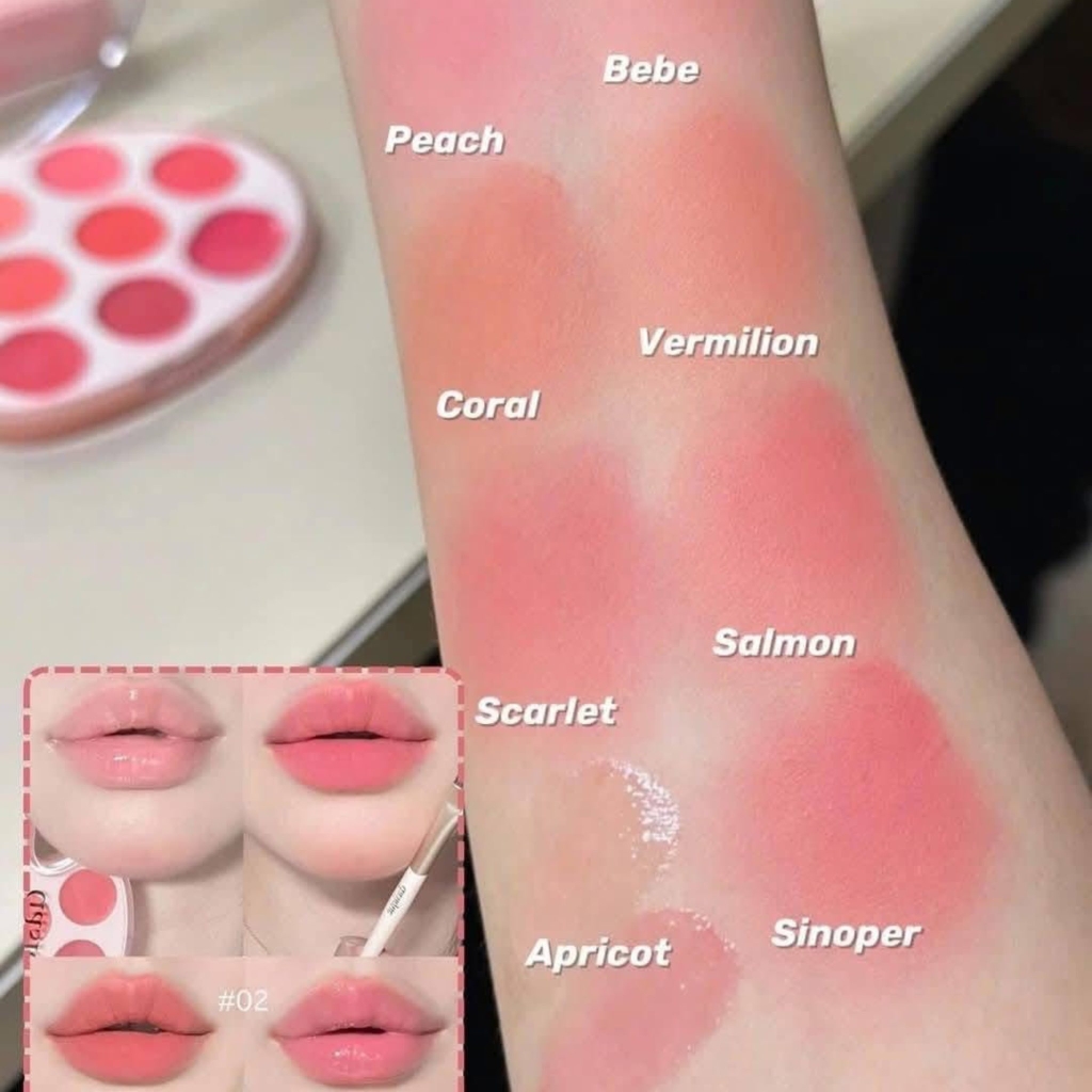 Bảng Son Và Má Hồng Kem 9 Ô Dasique Mood Painting Lip & Cheek 6g