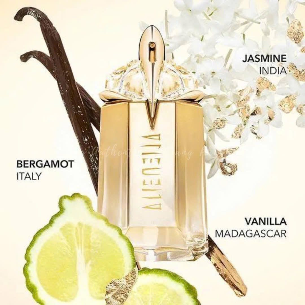Nước hoa Alien Mugler - Fullbox Hàng công ty