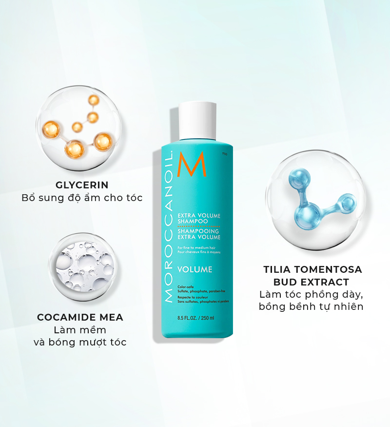 Set Gội Xả Moroccanoil (500mlx2) - Công Ty