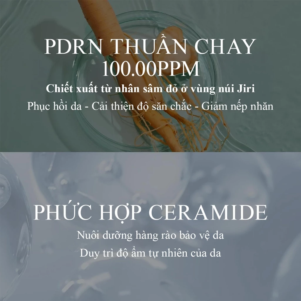 Tinh Chất Căng Bóng, Phục Hồi Da VT PDRN 100 Essence (Set 10 gói * 1.5ml)