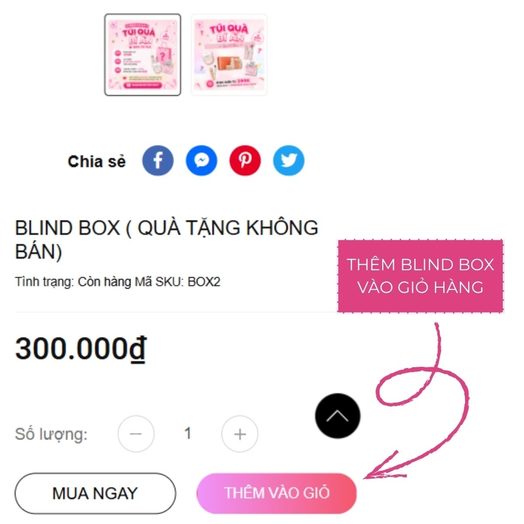 BLIND BOX ( QUÀ TẶNG KHÔNG BÁN)