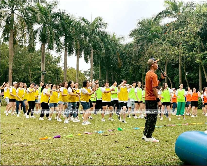 Áo Lưới Đi Biển Giá Rẻ Tại Bình Phước - Đồng Phục May Thành Việt