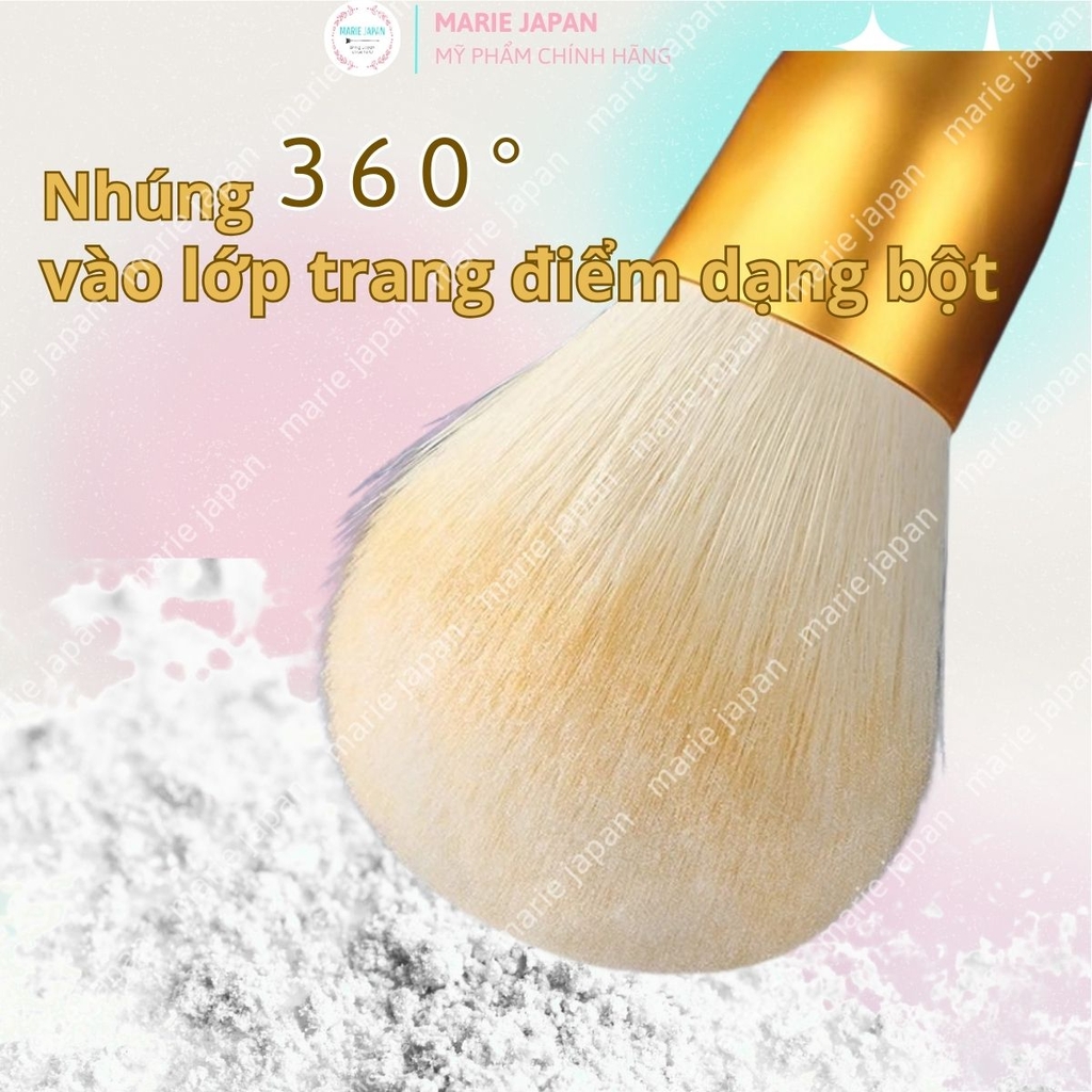 Set 12 Cọ Trang Điểm AMORTALS Makeup Cá Nhân Chuyên Nghiệp Lông Mềm Mịn Kèm Túi Đựng Tiện Lợi