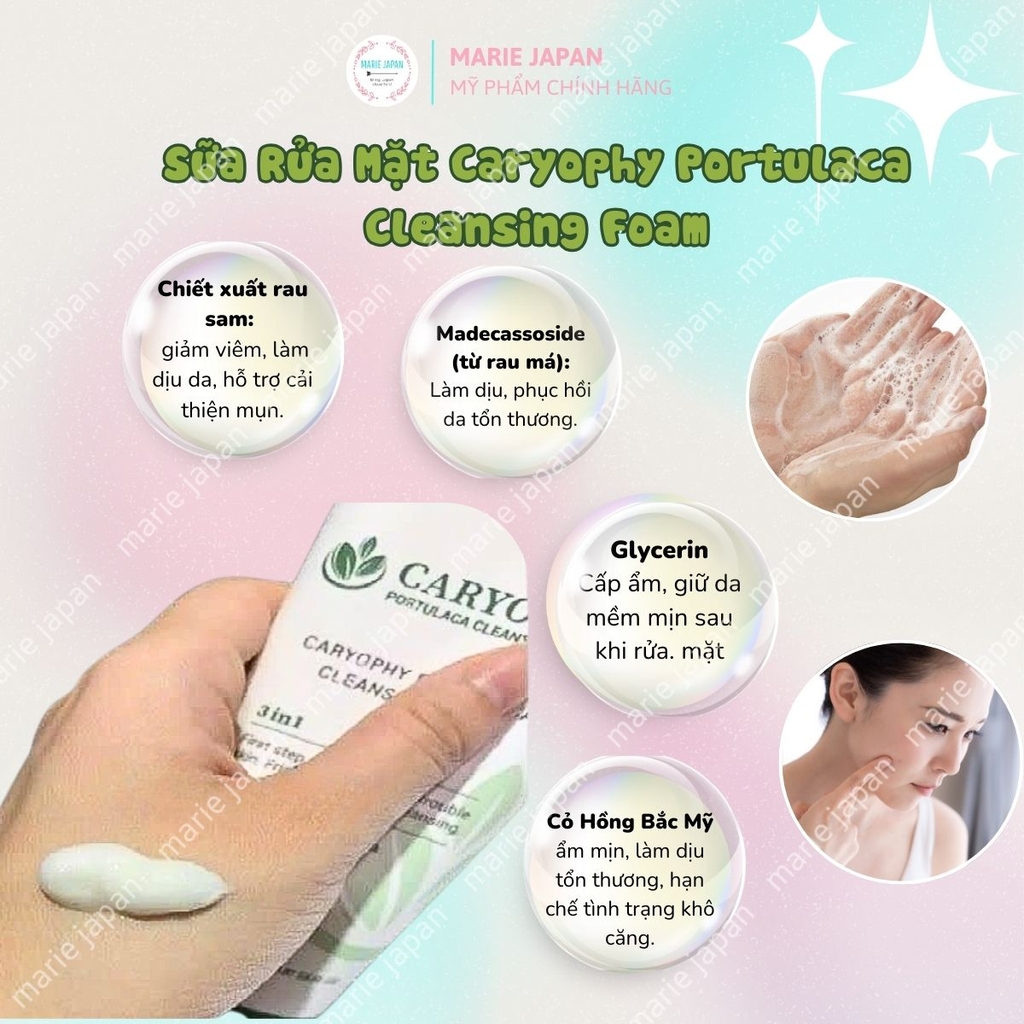 Sữa Rửa Mặt Caryophy Portulaca Cleansing Foam Sạch Sâu Ngăn Ngừa Mụn Kiềm Dầu Hàn Quốc Tuýp 150ml