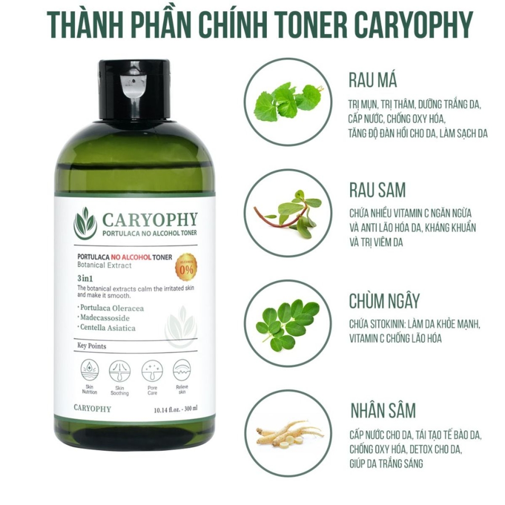 Toner Caryophy 3in1 Portulaca Cấp Ẩm Giảm Mụn Không Cồn Dịu Nhẹ Hàn Quốc 300ml
